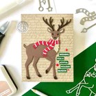 Hero Arts  holiday Reindeer  Christmas Winter Steel Fancy Dies Df161 2023