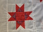 Vintage Hand Stitched Ohio Star Quilt Top Red White Floral Cotton Mid Century