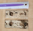 Lot Of 4 Antique Metal Door Knob Backplates