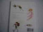 Vtg disney 06 In The Realm Of The Never Fairies 1 St Ed pixie Hollow