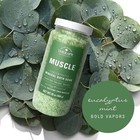 3 Pack Village Naturals Therapy Muscle Mineral Bath Soak 20 Oz Eucalyptus Mint
