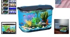 Panaview 5-gallon Aquarium Kit With Led Lighting