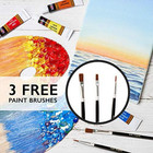 Acrylic Paint Set Canvas Art Paints 24 Colors Perfect Paint Finish  0 41oz 12 Ml