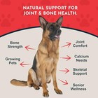 Animal Essentials Seaweed Calcium - Supplement For Dogs And Cats  High 