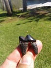 Awesome High Quality Dire Wolf Carnasial Tooth Florida Ice Age Fossil Mammal 