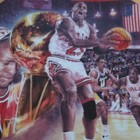 Michael Jordan 1991 Championship The Bradford Exchange Collectors Plate Coa