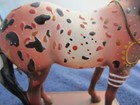 Trail Of Painted Ponies - Horse With No Name