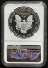 2019-w  1 Silver American Eagle Ngc Pf70 Early Releases   06604