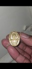 Pta Award Pin  gold   Golden Oak Service   California State 