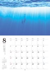 Spectacular Scenery And Animals Calendar 2025  wall Hanging    calendar  _