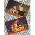 Vintage Antique Kitten Postcards Lot 3 Lithograph Cat Ephemera 1909-1912 Germany