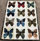 Handmade Art Quilt wall Hanging butterfly Sampler  Applique  13 1 2   X 18   