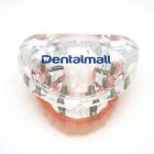 Dental Implant Restoration Model Upper Jaw 6 Screws Post Core Bridges M6001-2