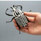 1 1 Size Goliath Beetle Animalier Collection Figure Set Of 4 Box Toy So-ta