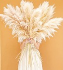 46  Inch 10 Stems Natural Pampas Grass Decor Tall  Pompas Grass  Tall Pampas 