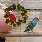  Parrot Swing Toy Rope Hanging Ring For Parrots Bird Chewing Toys