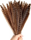 10pcs Natural Pheasant Tail Feathers 25-30cm Diy Crafts Wedding Decor