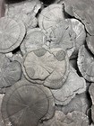 Pyrite Sun  miner s Dollar  Dealer Lot Set Of 50 Pieces