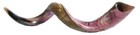 Jumbo Yemenite Shofar 39  - 42   Authentic Kosher Yemenite Shofar