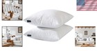 Decorative Pillow Inserts 18x18 Square Set Of 2 Feather Down Cotton Fill