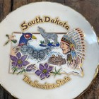 Vintage South Dakota Sd State Souvenir Mini Plate Attractions Sunshine State