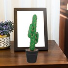 Cactus Simulation Potted Plant Faux Plants Indoor Fake Office Artificial