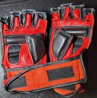 Combat Sports Mma Bag Gloves Martial Arts Boxing Size  Large