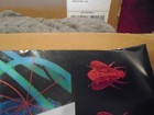 Rare Promo White Zombie 40  Poster Astro-creep 2000 Rob Metal More Human Than 95