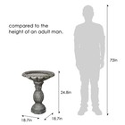 Concrete Birdbath In Decorative Styles For Your Outdoor Sanctuary