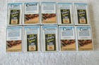  carton Camel Lights Cigarettes Empty Collector s Packs  Empty   Free Shipping