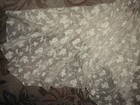 Large Wide Antique Edwardian Lace Bertha Collar  From Gown  Cream Embroidered Vg