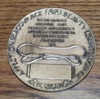 Irish Setter Club Of America 3  Bronze Medal - Irish Setter Dog