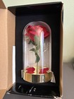 Beauty And The Beast Enchanted Rose New Open Box