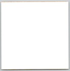 Vtg Color Snapshot Large Family Group Outdoors By Tree And Classic Car 1970s