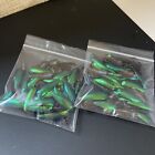 200 Green Blue Jewel Beetle Elytra Sternocera Insect Wings Jewelry Usa Seller