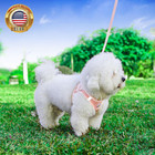 Dog Harness And Leash Set  No Pull Soft Mesh Puppy Harness For Small Medium Dogs