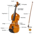 New 4 4 Full Size Violin Set Case Bow Shoulder Rest Rosin String Bridge Sordine