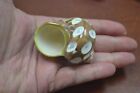Brown Spotted Petholatus Jade Turbo Sea Shell Hermit Crab 2  - 2 1 2   7335