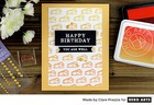 Brand New Hero Arts   irreverent Birthday Messages  Poly Clear Sentiment Stamps
