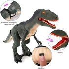 Kids Walking Dinosaur Toy With Shaking Head  Light Up Eyes   Sound  Rc  Gift For