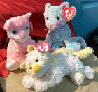 Ty Beanie Cats-2002 Pink Carnation-2003 Jaz-2005 Saffron-all New-mint W mint Tag