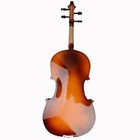 16 Inch Brown Color Basswood Adult Acoustic Viola With Case Rosin Bow