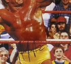 Hulk Hogan Signed Framed 16x20 Photo With Hulkamania Matte