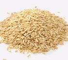 Oat Berries Whole Grain Seed Mushroom Substrate Very Clean  1 2-5 Lb Fast Ship  