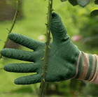 1 Pair Thorn Proof Gardening Gloves Wear Resistant Protective Gloves
