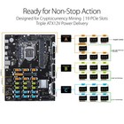 Asus B250 Mining Expert 19gpu Lga1151 Mother Board From Japan Brand