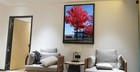 Medog 11x17 Picture Frame For Wall Black  Display Pictures 11x17 Poster Frame   