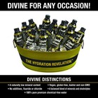 Spring Water 12 Pack - Award-winning Bpa-free Mountain Spring Water In Infini   