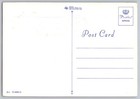  4487 Us Flag Fdc Maxi Card Pledge Of Allegiance