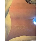 Vintage 1985 Unicorn Mother Baby Wood Wall Picture Art Lacquered Sue Dawe 9   x11   